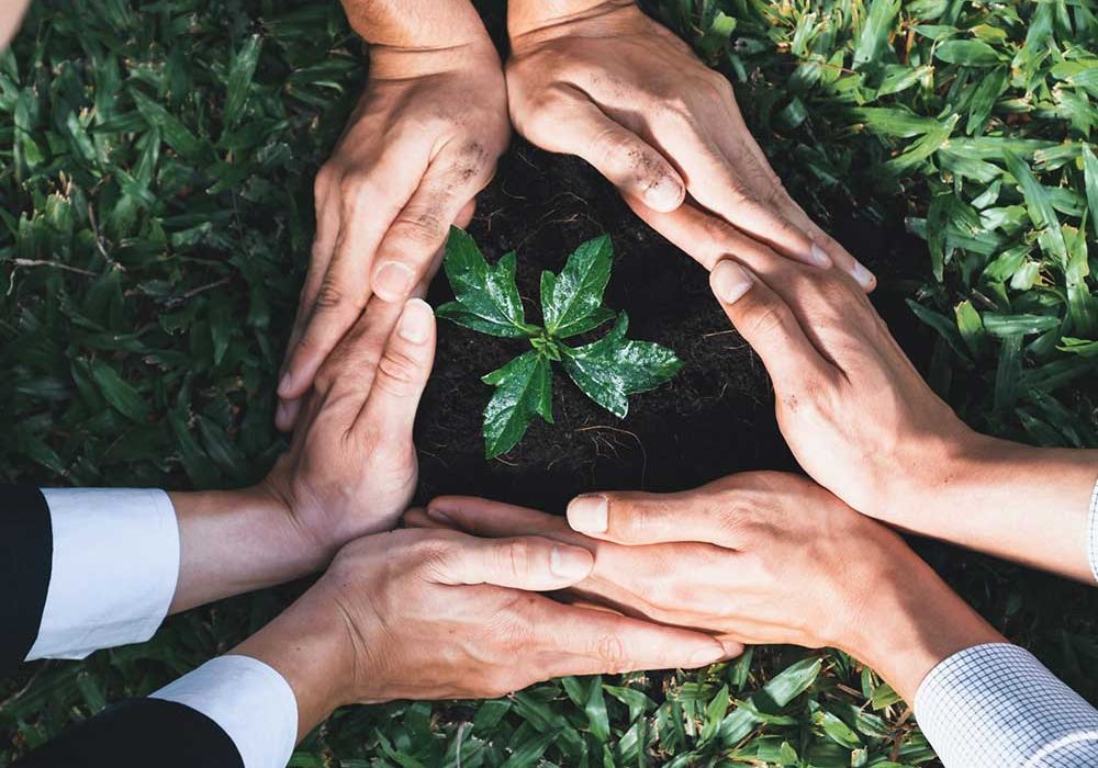 ICS-Commitment-to-Environmental-Sustainability